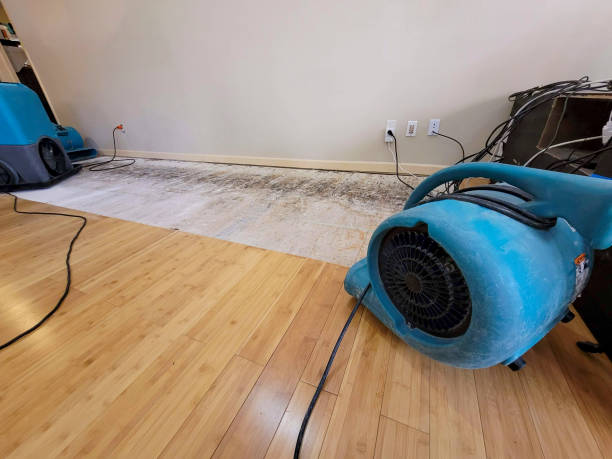 Professional Emergency Water Damage technician working in Iron, MN
